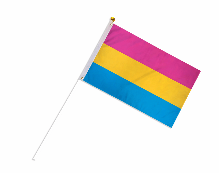 Small Pansexual Flags on a Stick - Fundraising For A Cause