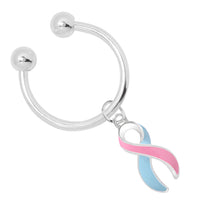 Load image into Gallery viewer, Pink &amp; Blue Horseshoe Key Chains - Fundraising For A Cause