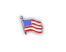 Load image into Gallery viewer, 15 Small American Flag Pins (15 Pins) - Fundraising For A Cause