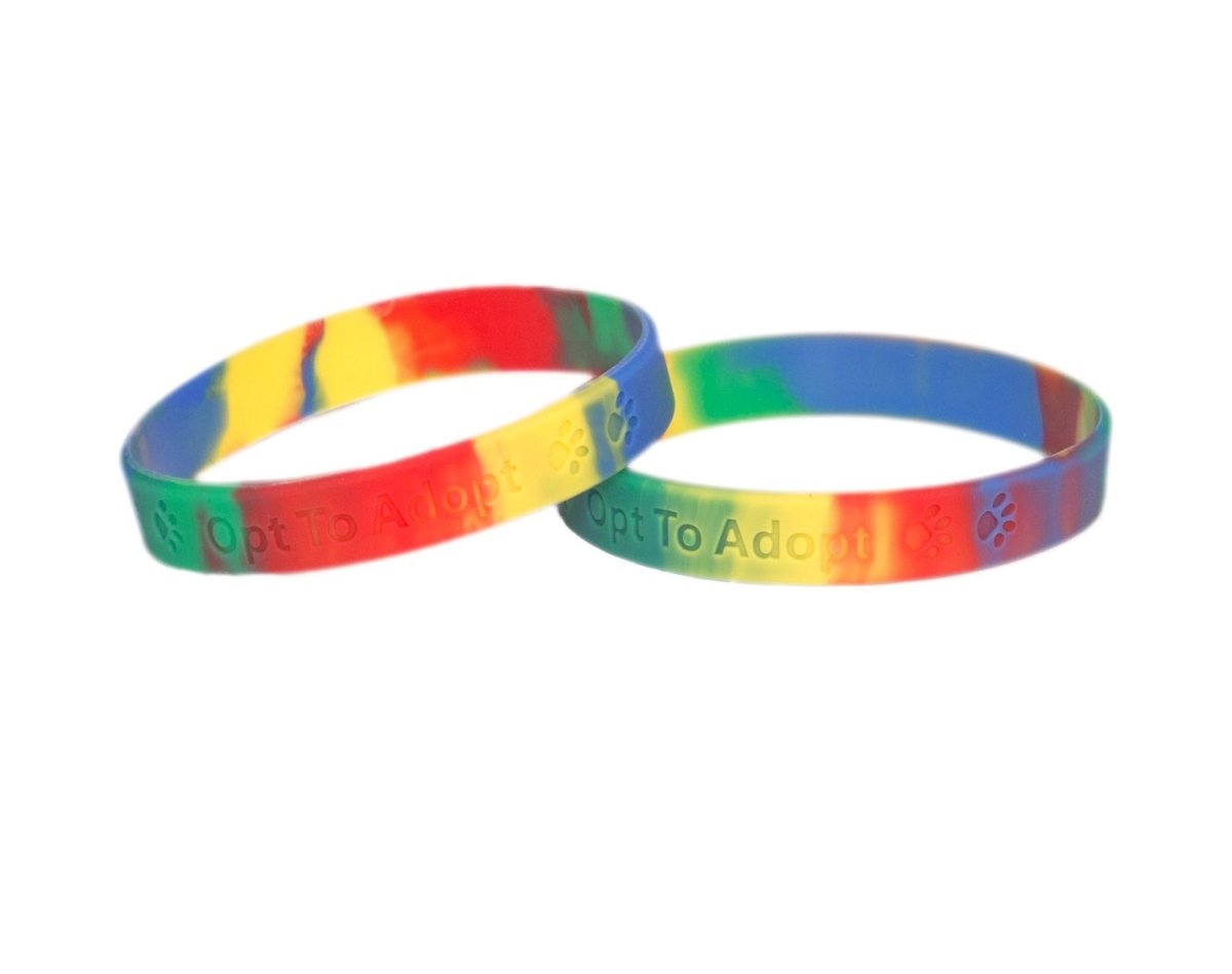 Rainbow Rubber Bracelet