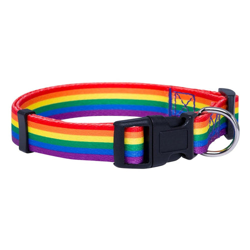 Dog Collars & Leashes