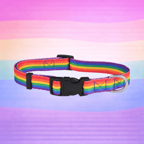 Dog Collars