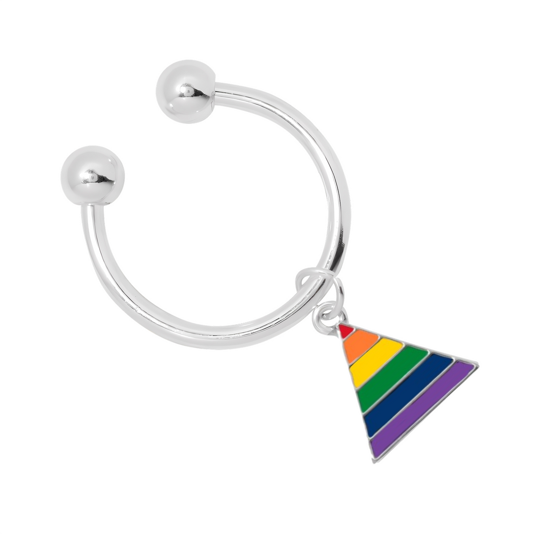 Rainbow Triangle Key Chains - Fundraising For A Cause