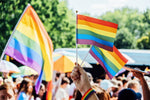 Large Rainbow Flags on a Stick - Fundraising For A Cause