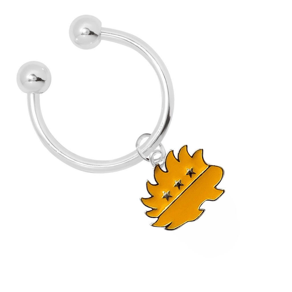 Libertarian Gold Porcupine Key Chains - Fundraising For A Cause