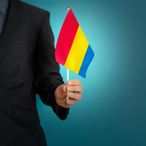 Small Pansexual Flags on a Stick