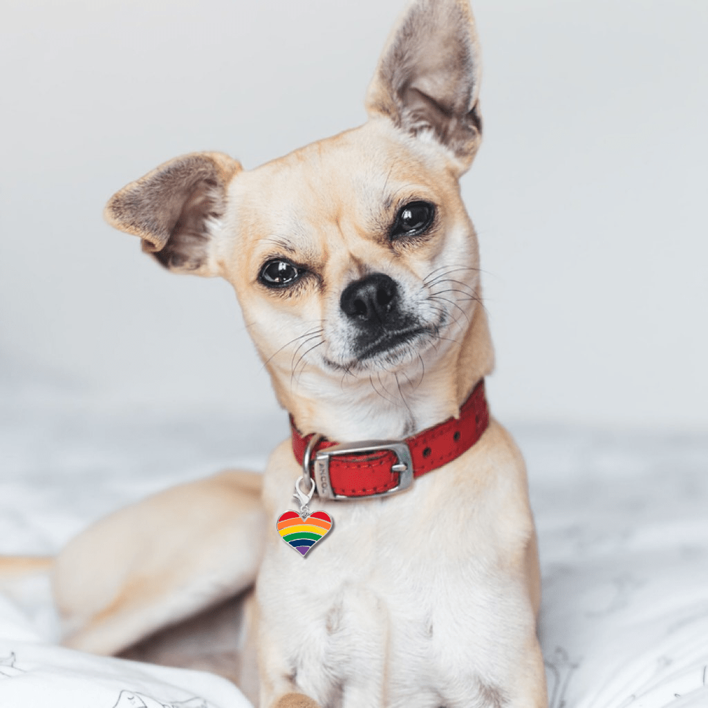 Rainbow Heart Gay Pride Hanging Charms - Fundraising For A Cause