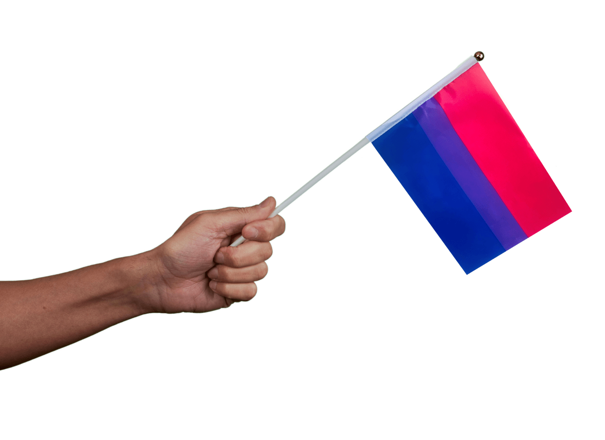 Small Bisexual Flags on a Stick - Fundraising For A Cause
