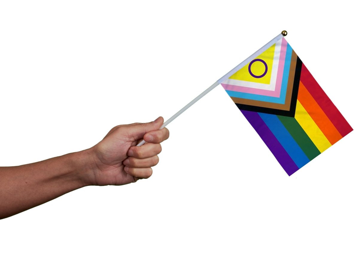 Small Daniel Quasar Intersex-Inclusive Flags on a Stick - Fundraising For A Cause