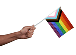 Small Daniel Quasar Flags on a Stick - Fundraising For A Cause