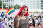 Small Rainbow Flags on a Stick - Fundraising For A Cause