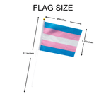 Small Transgender Flags on a Stick - Fundraising For A Cause