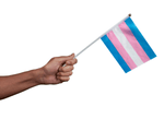 Small Transgender Flags on a Stick - Fundraising For A Cause