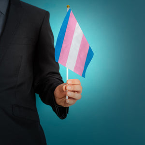 Small Transgender Flags on a Stick