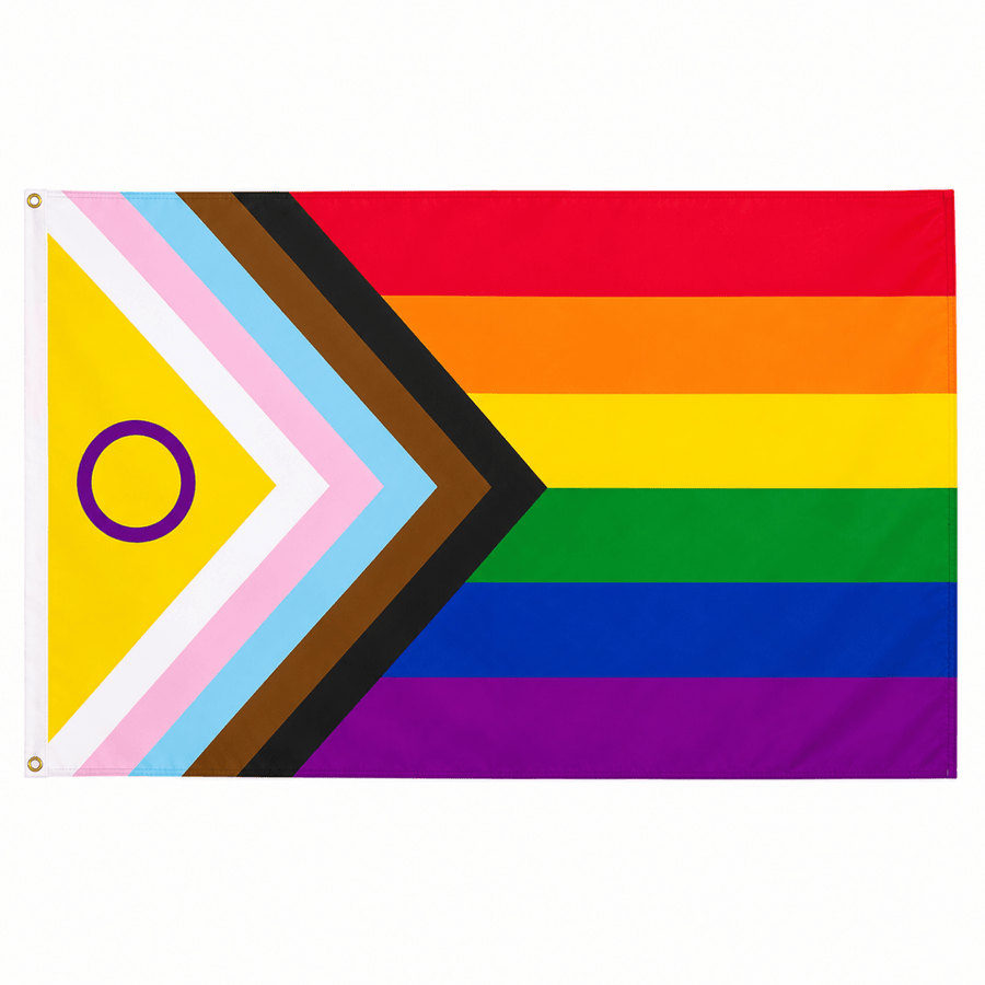 Daniel Quasar Intersex-Inclusive 3 Feet by 5 Feet Nylon PRIDE Flag - Fundraising For A Cause