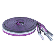 Load image into Gallery viewer, Asexual Flag Striped Shoelaces - Fundraising For A Cause