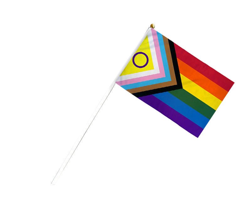 Small Daniel Quasar Inclusive Flags on a Stick - Fundraising For A Cause