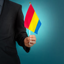 Load image into Gallery viewer, Small Pansexual Flags on a Stick - Fundraising For A Cause