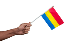 Load image into Gallery viewer, Small Pansexual Flags on a Stick - Fundraising For A Cause