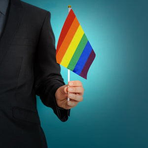 Small Rainbow Flags on a Stick - Fundraising For A Cause