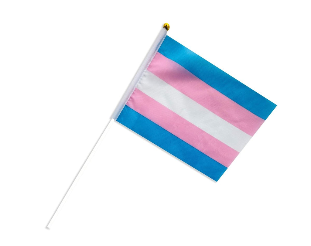 Small Transgender Flags on a Stick - Fundraising For A Cause