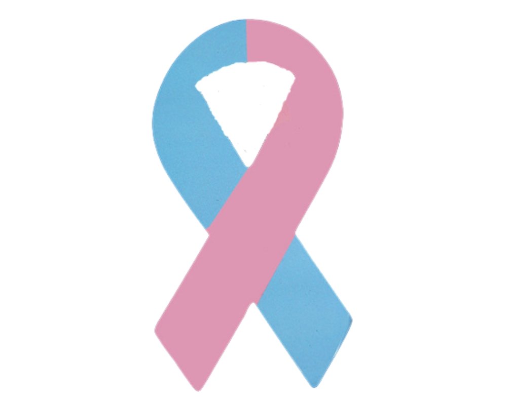 Large Pink & Ribbon Magnets