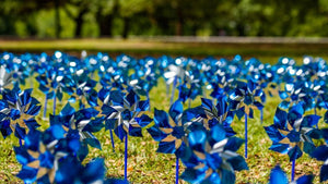 Blue Pinwheels for Prevention - Fundraising For A Cause