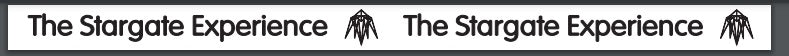 CUSTOM The Stargate Experience Silicone Bracelets - Fundraising For A Cause