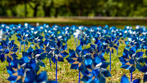 Large 6" Blue Pinwheels for Child Abuse Prevention - Fundraising For A Cause