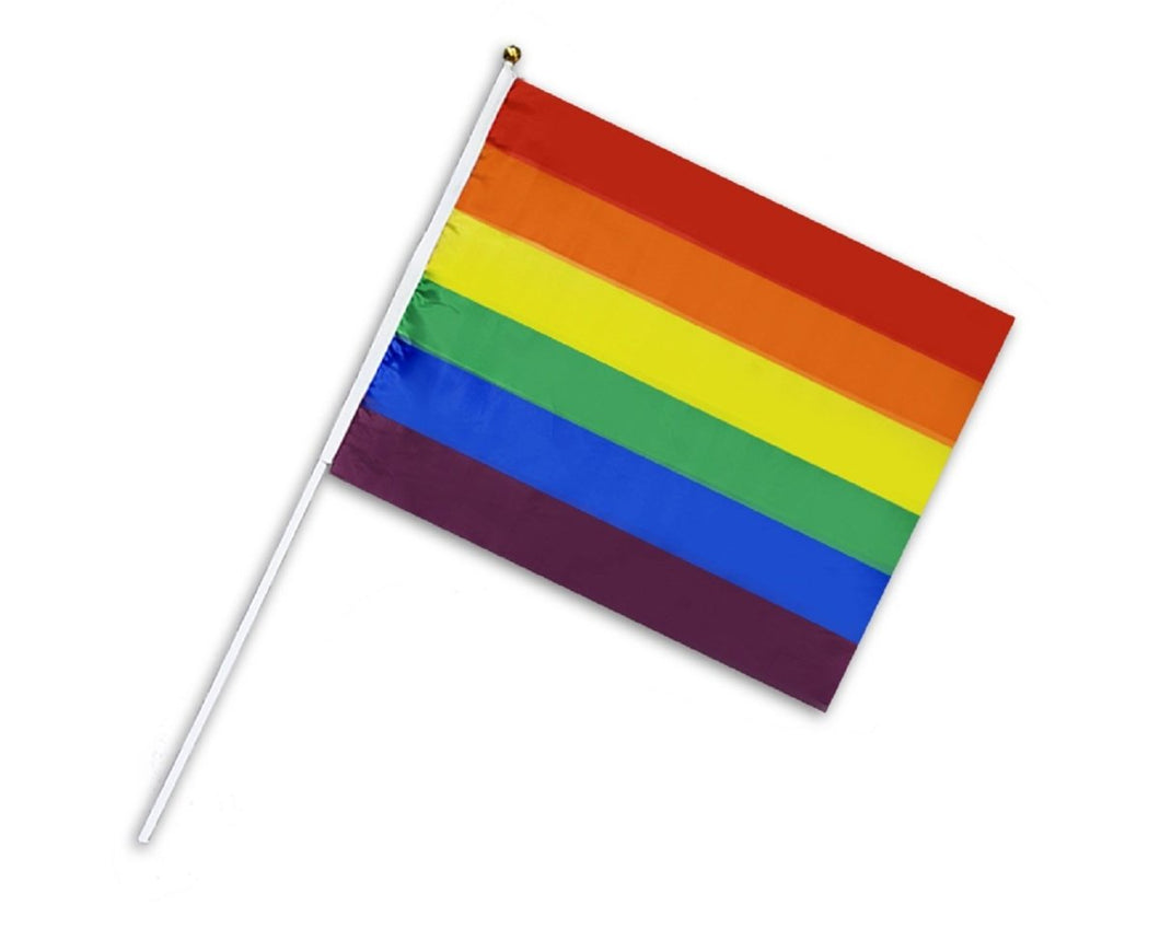 Large Rainbow Flags on a Stick - Fundraising For A Cause