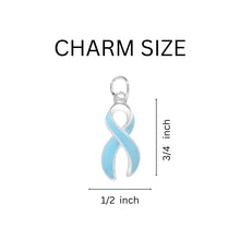 Load image into Gallery viewer, Light Blue Ribbon Horseshoe Key Chains - Fundraising For A Cause