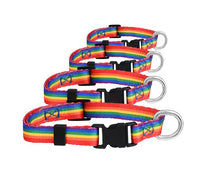 Load image into Gallery viewer, Rainbow Striped Dog/Cat/Pet Collars - Fundraising For A Cause